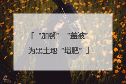 “加餐”“盖被” 为黑土地“增肥”